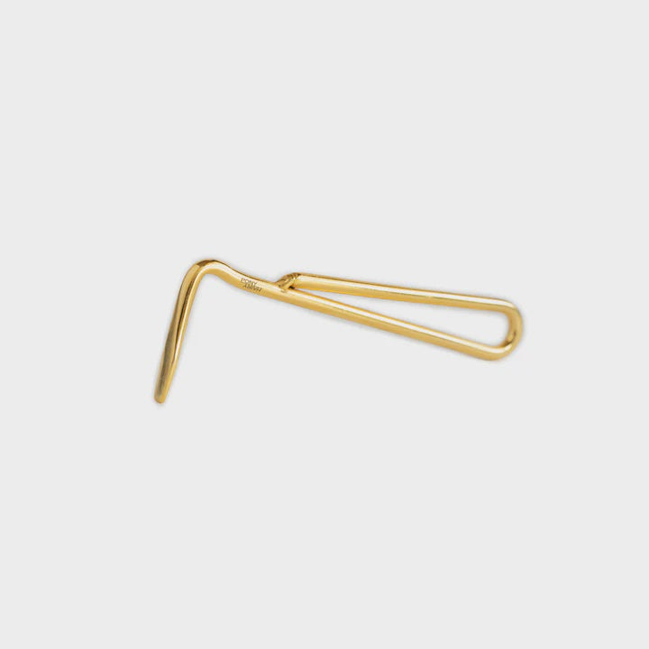 HAIRY PONY GOLD HOOF PICK