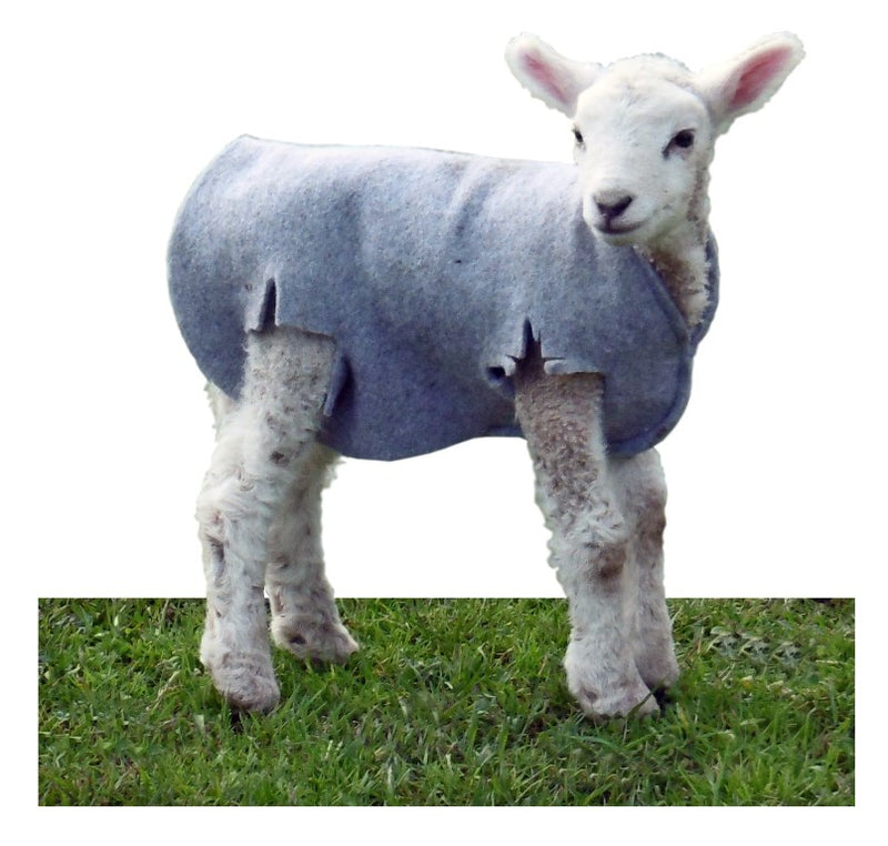 Lamb Cosy Coats