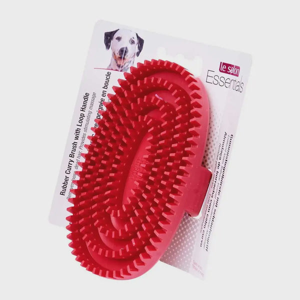 LE SALON CURRY BRUSH