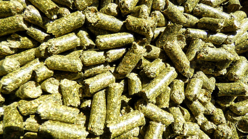 Lucerne Pellets 20 kg