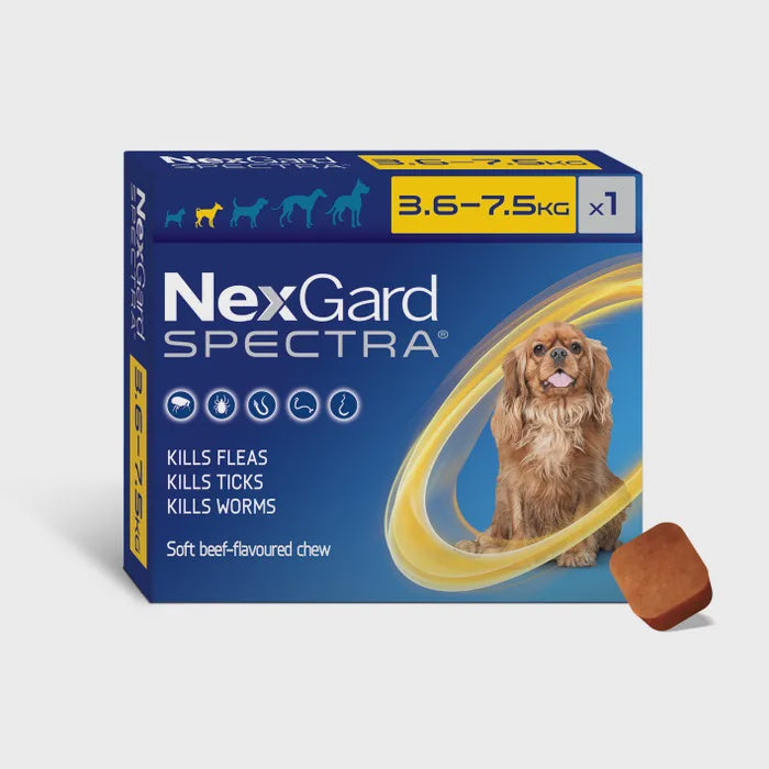 NEXGARD SPECTRA FLEA, TICK & WORM CHEWABLE SINGLE