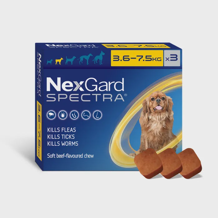 NEXGARD SPECTRA FLEA TICK WORM CHEWABLE 3PK