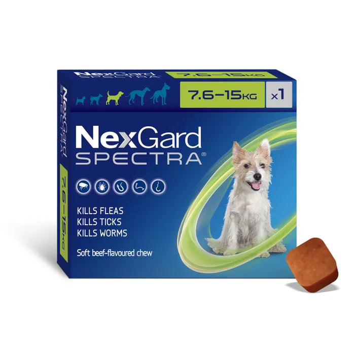 NEXGARD SPECTRA FLEA, TICK & WORM CHEWABLE SINGLE