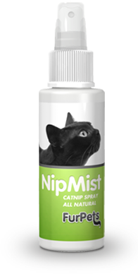 CAT NIP SPRAY