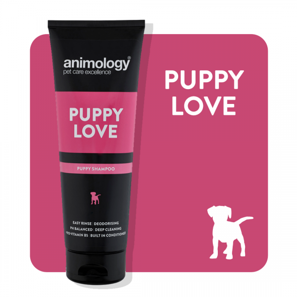 ANIMOLOGY PUPPY LOVE