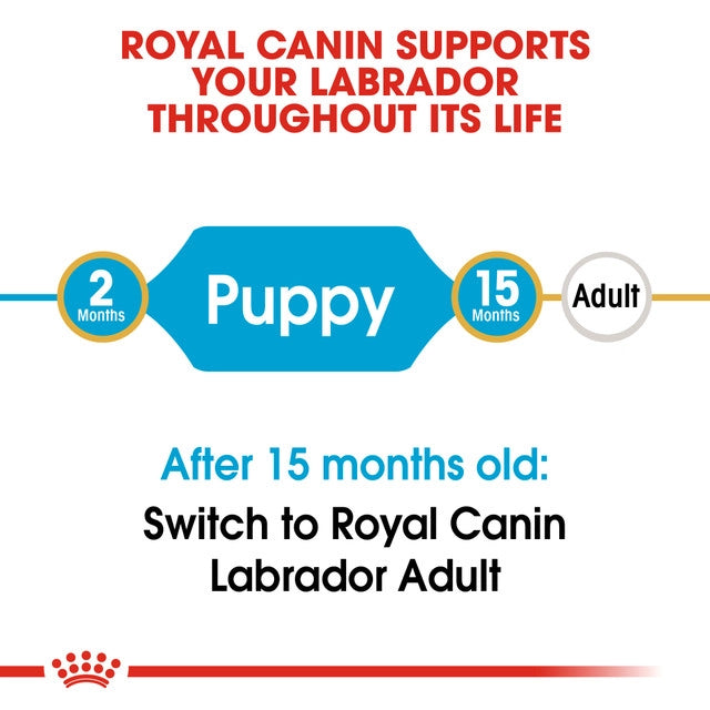 ROYAL CANIN LABRADOR RETRIEVER PUPPY