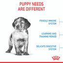 ROYAL CANIN PUPPY MEDIUM