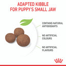 ROYAL CANIN PUPPY MEDIUM