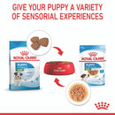 ROYAL CANIN PUPPY MINI