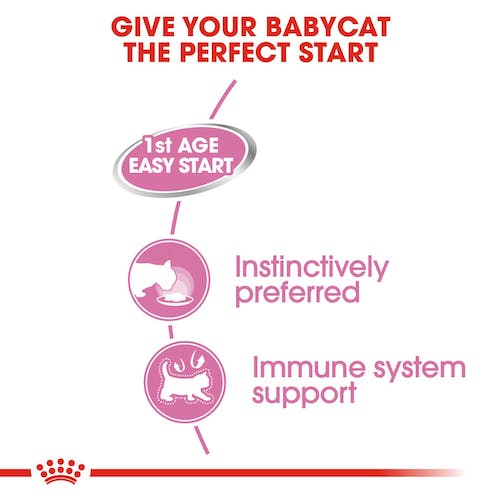 ROYAL CANIN MOTHER & BABYCAT MOUSSE