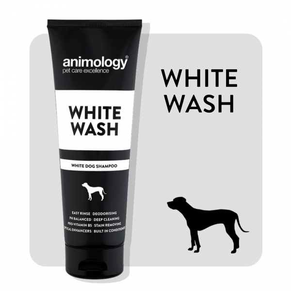 ANIMOLOGY WHITE WASH