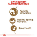 ROYAL CANIN AGEING 12+ CAT FOOD