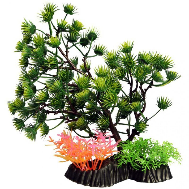 ECOSCAPE GREEN UMBRELLA PINE