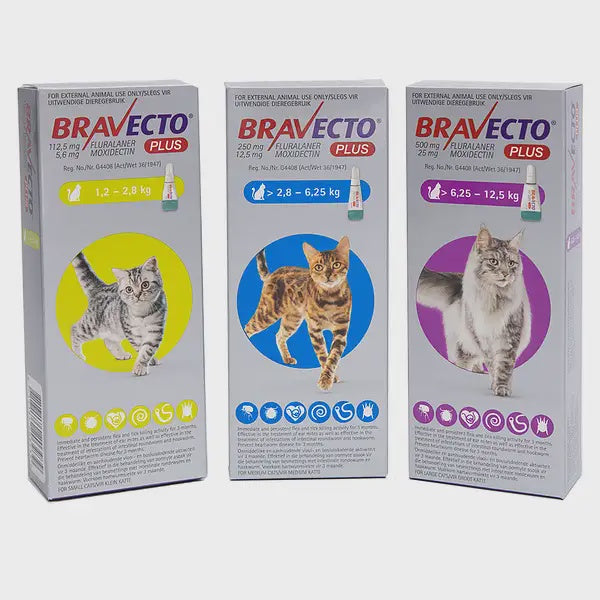 BRAVECTO PLUS CAT