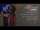 EZYDOG CHEST PLATE HARNESS