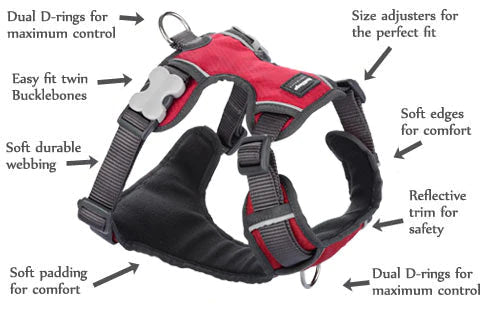 Red Dingo Padded Harness